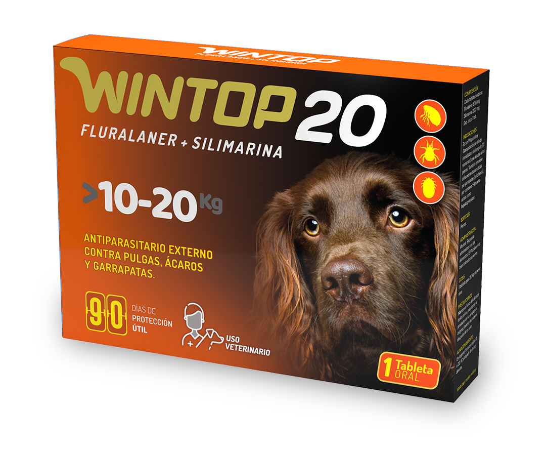 Wintop