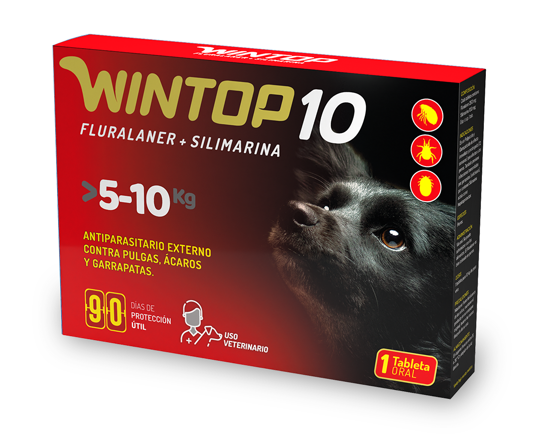 Wintop 10