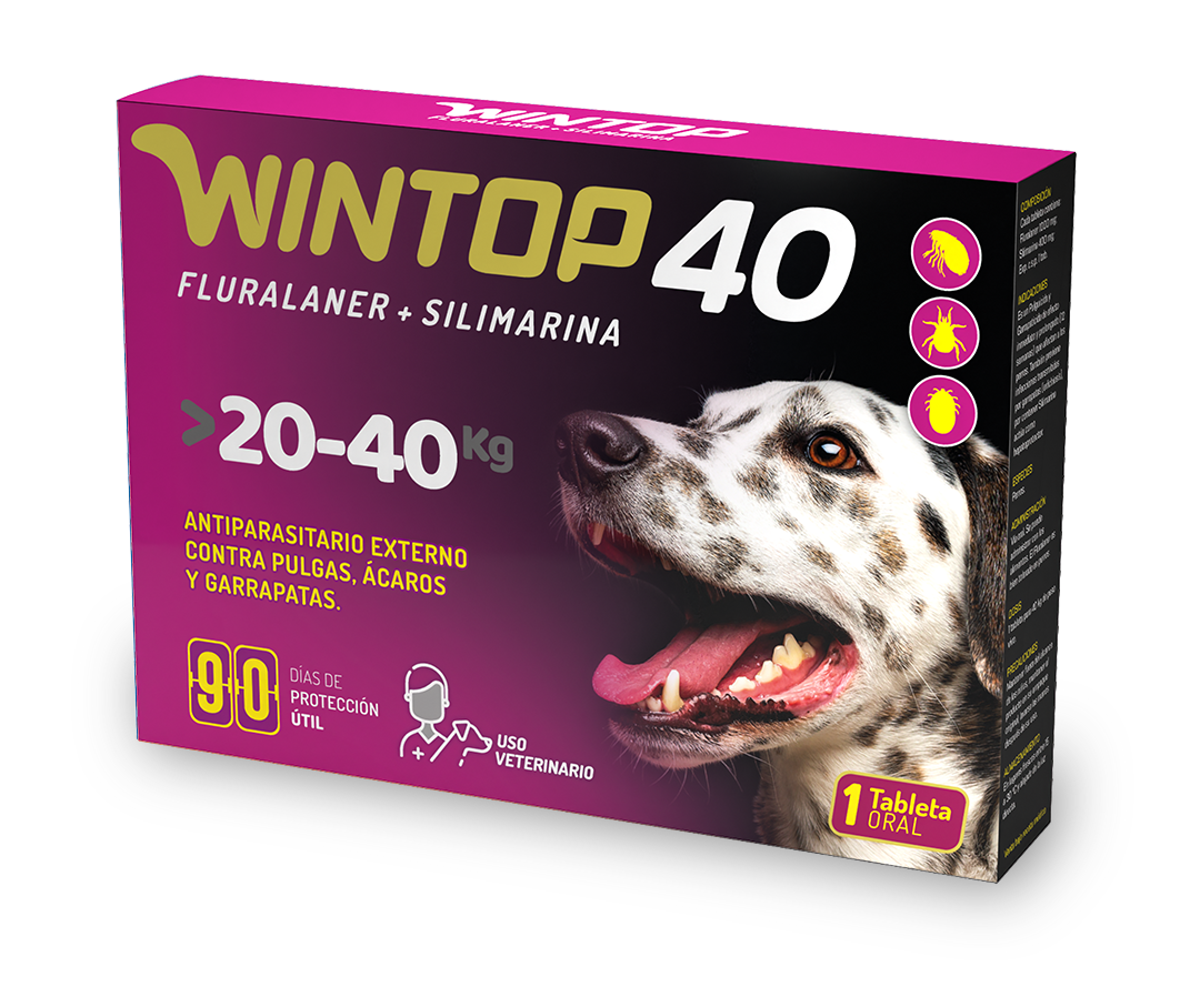 Wintop 40