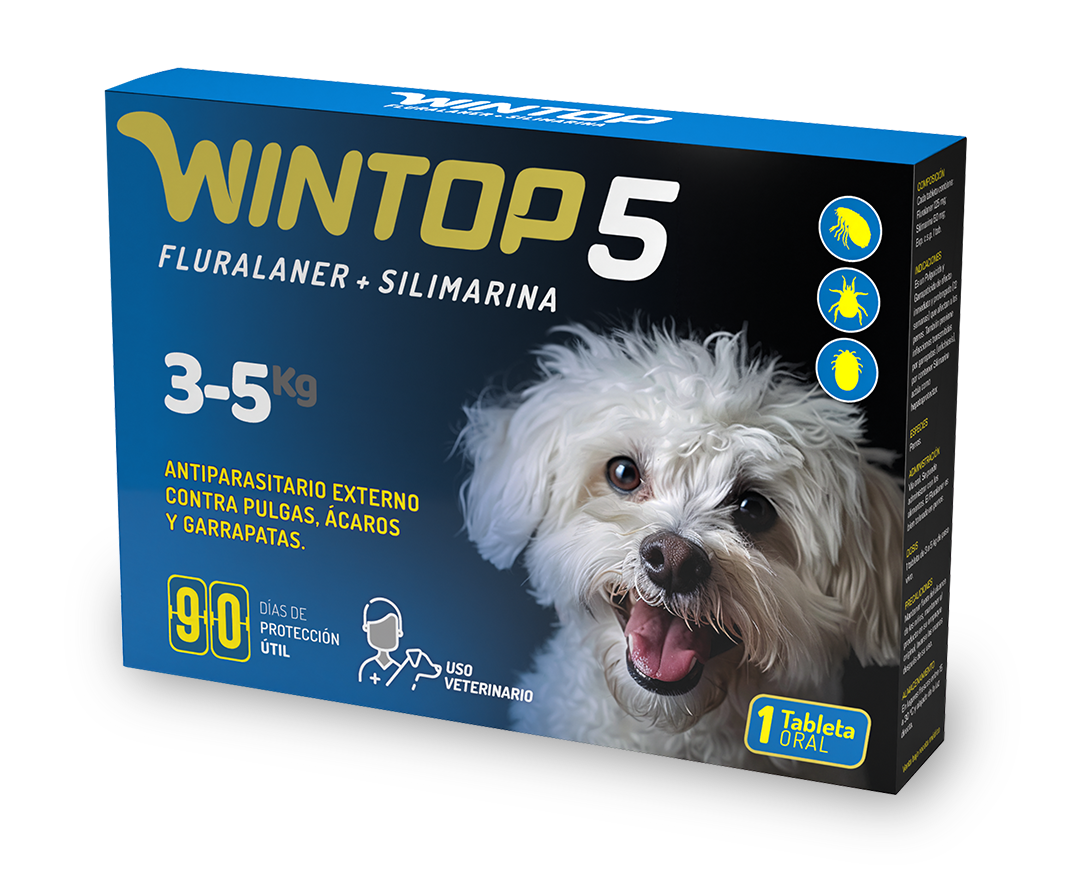 Wintop 5